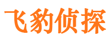 江孜捉小三公司